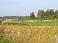 Esker, Drumine © Richard Webb cc-by-sa/2.0 :: Geograph Britain and Ireland Esker, Drumine &copy; Richard Webb cc-by-sa/2.0