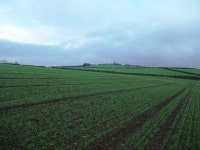 Fields near Lower Hartshay © Jonathan Clitheroe :: Geograph Britain and Ireland Fields near Lower Hartshay &copy; Jonathan Clitheroe