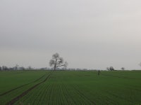 Tattiebogle © Richard Webb :: Geograph Britain and Ireland Tattiebogle &copy; Richard Webb