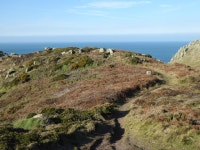 The entrance to Maen Castle © Rod Allday :: Geograph Britain and Ireland The entrance to Maen Castle &copy; Rod Allday