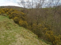 Yellow Hill Delf © Greum :: Geograph Britain and Ireland Yellow Hill Delf &copy; Greum