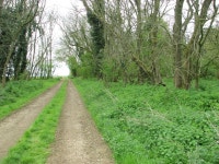 Farm track in Whin Close © Evelyn Simak :: Geograph Britain and Ireland Farm track in Whin Close &copy; Evelyn Simak