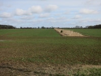 Fields near Stetchworth ley © Hugh Venables :: Geograph Britain and Ireland Fields near Stetchworth ley &copy; Hugh Venables