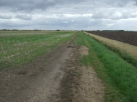 Farm track off Thorpe Tilney Drove © JThomas :: Geograph Britain and Ireland Farm track off Thorpe Tilney Drove &copy; JThomas