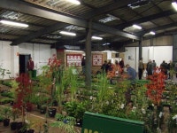 Going going gone! Maxey Grounds auction... © Richard Humphrey :: Geograph Britain and Ireland Going going gone! Maxey Grounds... 