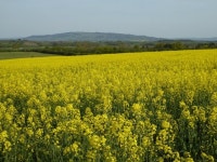 View to Bredon Hill © Philip Halling cc-by-sa/2.0 :: Geograph Britain and Ireland View to Bredon Hill &copy; Philip Halling cc... 