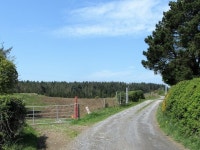 First view of Eleven Acres Wood from the... © Eric Jones :: Geograph Britain and Ireland First view of Eleven Acres Wood from... 