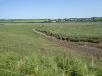 Stream flowing through the marshy bank... © David Smith :: Geograph Britain and Ireland Stream flowing through the marshy bank..... 