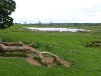 Pond near Ralph Shield © Russel Wills cc-by-sa/2.0 :: Geograph Britain and Ireland Pond near Ralph Shield &copy; Russel Wills cc... 