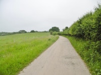 Arne, bridleway © Mike Faherty cc-by-sa/2.0 :: Geograph Britain and Ireland Arne, bridleway &copy; Mike Faherty cc-by-sa/2.0