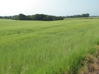 Arable farmland © Philip Halling cc-by-sa/2.0 :: Geograph Britain and Ireland Arable farmland &copy; Philip Halling cc-by-sa/2.0
