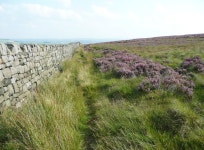 Path along the edge of Midgley Moor © Humphrey Bolton cc-by-sa/2.0 :: Geograph Britain and Ireland Path along the edge of... 