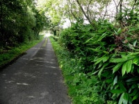 Aghee Road © Kenneth Allen :: Geograph Britain and Ireland Aghee Road &copy; Kenneth  Allen