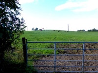 Gate, Lislea © Kenneth  Allen cc-by-sa/2.0 :: Geograph Britain and Ireland Gate, Lislea &copy; Kenneth  Allen cc-by-sa/2.0