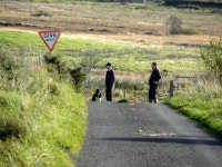 Patiently waiting, Lisnafin © Kenneth Allen :: Geograph Britain and Ireland Patiently waiting, Lisnafin &copy; Kenneth  Allen