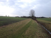 Near Cockayne Hatley © Dave Thompson :: Geograph Britain and Ireland Near Cockayne Hatley &copy; Dave Thompson