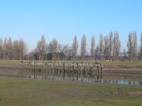 Old landing stage on the river Dee © Eirian Evans :: Geograph Britain and Ireland Old landing stage on the river Dee... 
