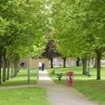 Path in Manor Farm Park © David Lally cc-by-sa/2.0 :: Geograph Britain and Ireland Path in Manor Farm Park &copy; David Lally cc... 