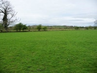 Pasture by the confluence of Afon Dwyfor... © Christine Johnstone cc-by-sa/2.0 :: Geograph Britain and Ireland Pasture by the... 