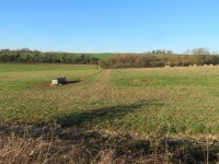 Sheep grazing - Ashe Warren Farm © ad acta cc-by-sa/2.0... and Ireland Sheep grazing - Ashe Warren Farm &copy; ad acta cc-by-sa/2.0