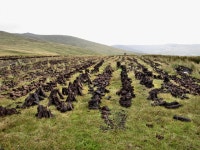 Drying Peat (C) kevin higgins :: Geograph Britain and Ireland Drying Peat (C) kevin higgins