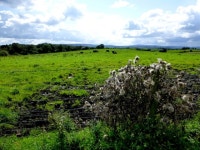 Beragh Townland (C) Kenneth  Allen :: Geograph Britain and Ireland Beragh Townland (C) Kenneth  Allen