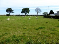 Kilreal Upper Townland (C) Kenneth  Allen :: Geograph Britain and Ireland Kilreal Upper Townland (C) Kenneth  Allen