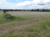Farmland adjacent to Berrington Park (C) Philip Halling :: Geograph Britain and Ireland Farmland adjacent to Berrington Park (C)... 