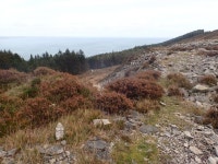 View ESE along the rubbish runs of... © Eric Jones cc-by-sa/2.0 :: Geograph Britain and Ireland View ESE along the rubbish runs... 