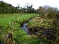 Burn, Ballygowan / Lammy © Kenneth Allen cc-by-sa/2.0 :: Geograph Britain and Ireland Burn, Ballygowan / Lammy &copy; Kenneth... 
