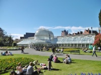Belfast, Palm House © Mike Faherty :: Geograph Britain and Ireland Belfast, Palm House &copy; Mike Faherty