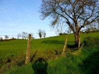 Dunwish Townland © Kenneth Allen cc-by-sa/2.0 :: Geograph Britain and Ireland Dunwish Townland &copy; Kenneth  Allen cc-by-sa/2.0