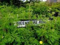 Hidden sign along Meenmore Road © Kenneth Allen cc-by-sa/2.0 :: Geograph Britain and Ireland Hidden sign along Meenmore Road... 