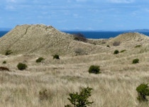 Sand dunes at Gullane Sands © Mat Fascione :: Geograph Britain and Ireland Sand dunes at Gullane Sands &copy; Mat Fascione