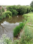 River Culm by Champerhaies © Martin Bodman :: Geograph Britain and Ireland River Culm by Champerhaies &copy; Martin Bodman