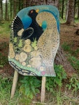 Promoting Capercaillies, Morangie Forest © Julian Paren cc-by-sa/2.0 :: Geograph Britain and Ireland Promoting Capercaillies... 