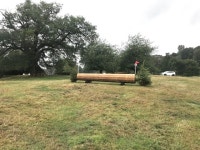 Cross-country fence at Cholmondeley... © Jonathan Hutchins cc-by-sa/2.0 :: Geograph Britain and Ireland Cross-country fence at... 