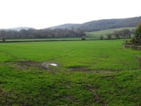 © Philip Halling cc-by-sa/2.0 :: Geograph Britain and Ireland... of winter cereal near Little... &copy; Philip Halling cc-by-sa/2.0