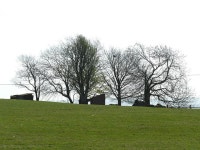 Ruined buildings near Delph Farm © Stephen Craven cc-by-sa/2.0 :: Geograph Britain and Ireland Ruined buildings near Delph Farm... 