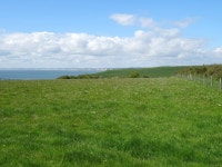 Coastal Grazing, Flamborough South... © JThomas cc-by-sa/2.0 :: Geograph Britain and Ireland Coastal Grazing, Flamborough South.... 