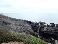Newton cliffs © Eirian Evans cc-by-sa/2.0 :: Geograph Britain and Ireland Newton cliffs &copy; Eirian Evans cc-by-sa/2.0