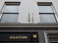 A thriving weed on a ledge, Omagh © Kenneth Allen cc-by-sa/2.0 :: Geograph Britain and Ireland A thriving weed on a ledge, Omagh... 