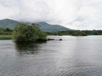 Lough Leane, Small Islet in Ross Bay © David Dixon cc-by-sa/2.0 :: Geograph Britain and Ireland Lough Leane, Small Islet in Ross... 