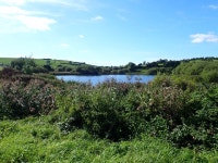 Cornahave Lough from the Loughross Road © Eric Jones cc-by-sa/2.0 :: Geograph Britain and Ireland Cornahave Lough from the... 