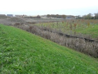 Expansion of the Finberry housing estate © John Baker :: Geograph Britain and Ireland Expansion of the Finberry housing estate... 