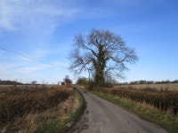 Lane to Park House Farm © Jonathan Thacker cc-by-sa/2.0 :: Geograph Britain and Ireland Lane to Park House Farm &copy; Jonathan... 
