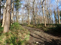 Track running parallel with the eastern... (C) Eric Jones :: Geograph Britain and Ireland Track running parallel with the... 