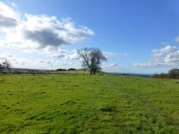 The path on Yellow Hill © Raymond Knapman :: Geograph Britain and Ireland The path on Yellow Hill &copy; Raymond Knapman