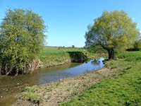 River Leam south of Eathorpe © AJD :: Geograph Britain and Ireland River Leam south of Eathorpe &copy; AJD