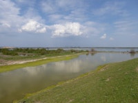 The sea wall at Higham Marshes © Marathon cc-by-sa/2.0 :: Geograph Britain and Ireland The sea wall at Higham Marshes... 